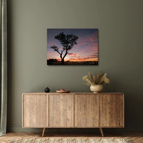Kép - Fa és vöröses árnyalatok (70x50 cm)