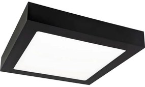 LED Mennyezeti lámpa FENIX LED/12W/230V 3800K 17 cm
