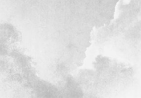 Flizelin tapéta Divatos 3D fali ragasztó Finom felhők 312x219 Ragasztó