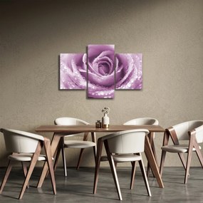 Egy rózsa virág részlete (90x60 cm)