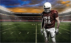 Ifjúsági fotótapéta pálya fotótapéta 254 x 184