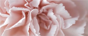 Kép - Virág részlete (120x50 cm)