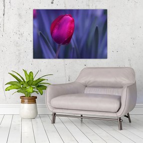 Tulipán bimbó képe (90x60 cm)