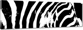 Vászonkép 120x40 Zebra csíkos kisállat