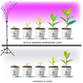 LED Dimmelhető állólámpa növények termesztésére VITARO 4xLED/7,5W/230V fekete