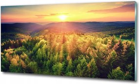 Fotó kép edzett üveg Erdő tavasz 125x50