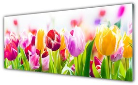 Akrilkép tulipán virágok 125x50 cm