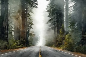 Fotótapéta Flizelina Tájkép Erdő Köd Rejtélyes Út Országút 368x254 ragasztó