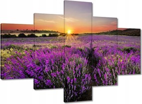 Vászonkép 100x70 Levendula rét