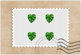 Poszterek 90x60 Monstera Lyukas levelek