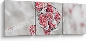 Kép - Fagyasztott gyümölcsök (órával) (90x30 cm)