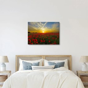 Egy kép a pipacs mezőről (70x50 cm)