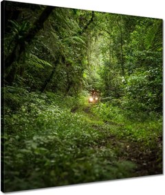 Vászonkép 50x50 Quad Négy kerék Terep