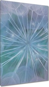 Vászonkép 80x120 Pitypang Virág Virágok