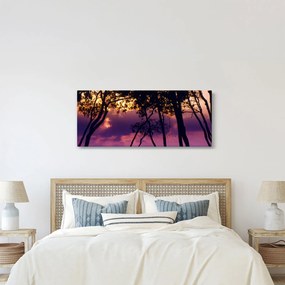 Kép - Fák naplementében (120x50 cm)