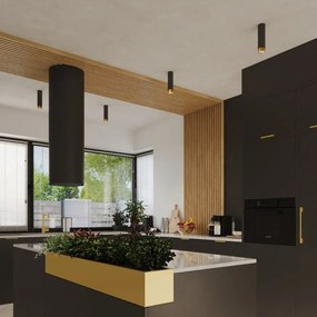 Fekete-aranyszínű mennyezeti lámpa Crown – Sollux