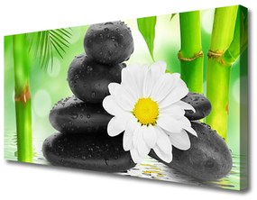 Canvas kép Bamboo Daisy Flower 100x50 cm