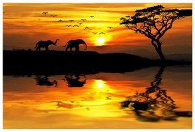 Gario Vászonkép Afrika Méret: 100 x 40 cm