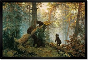 Poszterek keretben 60x40 Reggel a fenyőerdőben