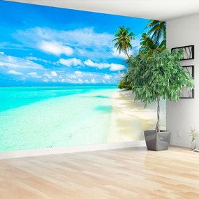 Fotótapéta tenger Palms 104x70 cm