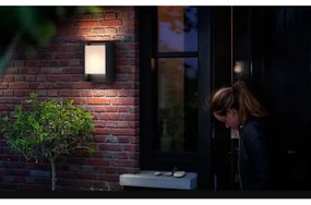 Philips - LED Kültéri fali lámpa ARBOUR LED/3,8W/230V IP44