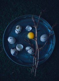 Művészeti fotózás Eggs, Aleksandrova Karina, (30 x 40 cm)