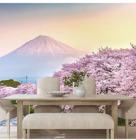 Fotótapéta csodás Japán - 375x250 -