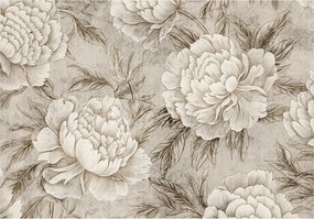 Fotótapéta Krém bazsarózsa háttér nélkül elegancia a nappaliba 208x146 +ragasztó