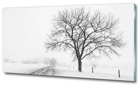 Üvegfotó Fa télen osh-80032038