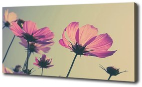 Vászonkép nyomtatás Rózsaszín virágok oc-104707608