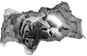3d fali matrica lyuk a falban Alvó tigris nd-b-125000206
