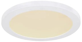 Globo 12379-24W - LED Mennyezeti lámpa LASSE LED/24W/230V
