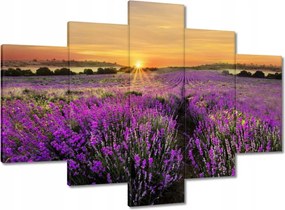 Képek 150x105 Levendula naplemente