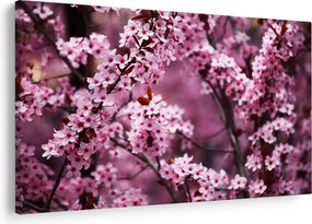 Kép - Rózsaszín sakura (90x60 cm)