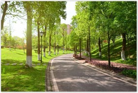 Poszterek 120x80 Ösvény a parkban természet