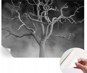 Modern öntapadós fotótapéta Mosható Ködös fa 208x146 cm