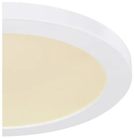 Globo 12379-24W - LED Mennyezeti lámpa LASSE LED/24W/230V