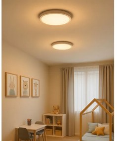 LED mennyezeti lámpa LED/24W/230V 3000/4000/6500K átm. 30 cm, fehér