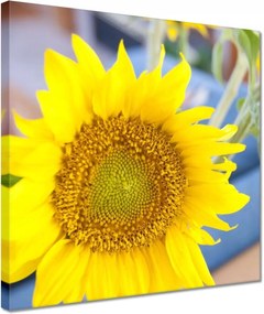 Vászonkép 30x30 Nőnap Ajándék Love