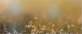 Kép - százszorszép olajfestmény (120x50 cm)