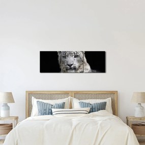 Kép - Snow Leopard (órával) (90x30 cm)