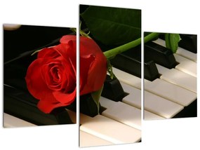 Képek - rózsa a zongorán (90x60cm)