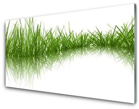 Üvegfotó Grass Nature Plant 100x50 cm 2 fogas