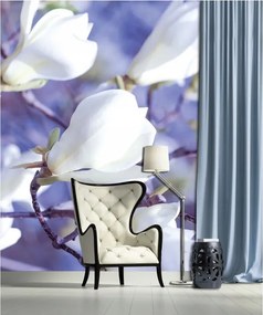 Fotótapéta Magnólia fehér virágok tavasz vinil 184x254 +ragasztó