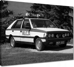 Vászonkép 50x40 Polonez Milícia