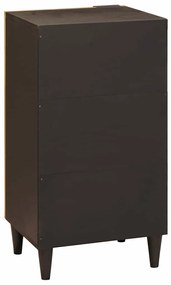 Széf polcokkal Fekete és Arany 40 x 33 x 75 cm tömör mangófa