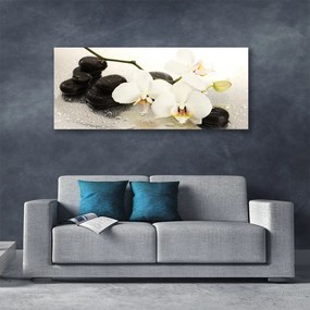 Vászonkép falra Szép virág orchidea 100x50 cm