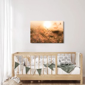 Kép - Fű a napon (90x60 cm)