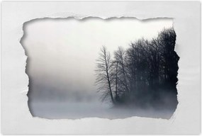 Poszterek 90x60 Ködös erdő Tél