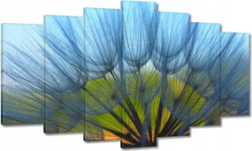 Vászonkép 140x80 Pitypang Virág Virágok